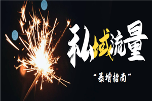 私域流量暴增指南，0基础没人脉也能千万粉变现