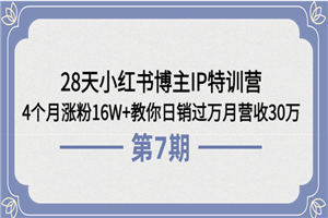 28天小红书博主IP特训营《第6+7期》4个月涨粉16W+教你日销过万月营收30万
