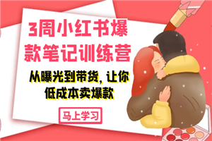 3周小红书爆款笔记训练营：从曝光到带货，让你低成本卖爆款