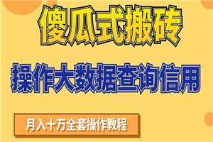 傻瓜式搬砖操作大数据查询信用赚钱方法：助你快速月入6万全套操作教程