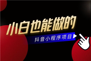 东哲零基础小白上手的抖音项目，当天做当天赚钱