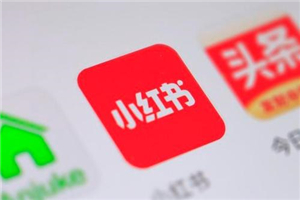 【小红书】2021 年小红书策划运营方案与报告