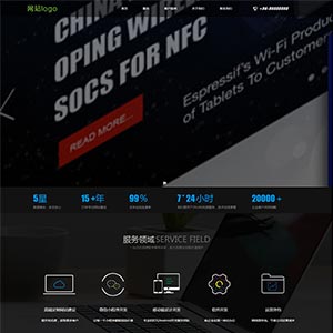 黑色大气的网络网站服务公司静态网站HTML模板